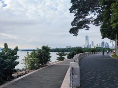 -深圳湾公园(南山区)
