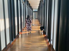 -上海崇明金茂凯悦酒店