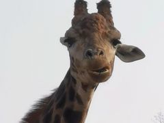 -济南野生动物世界