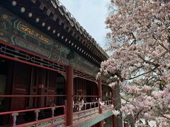 -潭柘寺景区