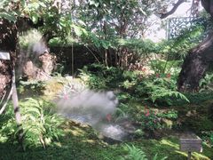 -Chom Cafe and Restaurant