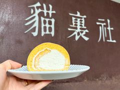 -猫里有甜