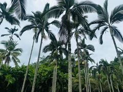 -西双版纳傣族园