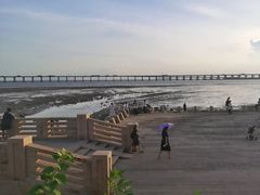 -宝安西湾红树林湿地公园