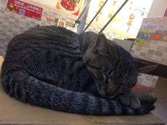 iphone_upload_pic-盛京一禾