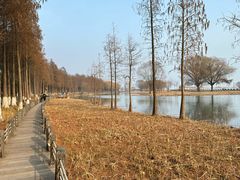 -苏州太湖湖滨国家湿地公园