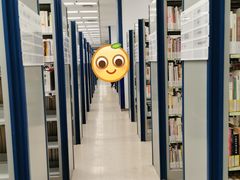 -金陵图书馆