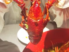 -红辣椒·川菜·火锅(张杨路店)