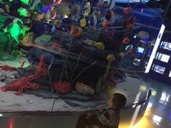 -成都泰迪熊博物馆