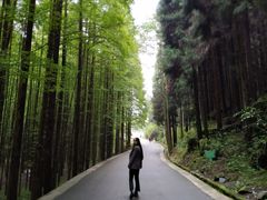 -山王坪喀斯特国家生态公园