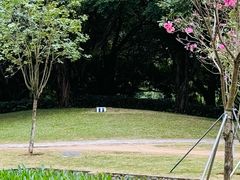 -燕晗山郊野公园