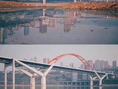 -菜园坝水果市场