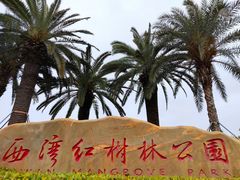 -宝安西湾红树林湿地公园