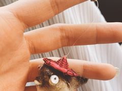-肆月河豚·新淮扬(金融街店)