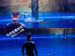 -华夏文旅海洋公园