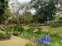 -人民公园(罗湖区)