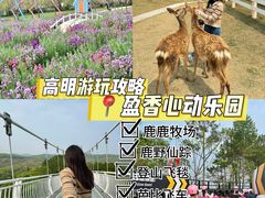 -盈香心动乐园