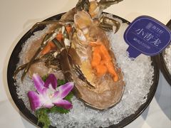 -海月轩海鲜豆捞(紫金塔店)
