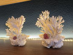 -码头鲜精致威海菜(欧乐坊店)