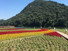 -广州市石门国家森林公园