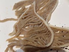 -蜀九香火锅(玉林店)