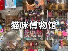 -猫咪博物馆(顶澳仔猫街店)