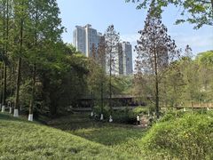 -重庆彩云湖湿地公园