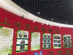 -上海昆虫博物馆