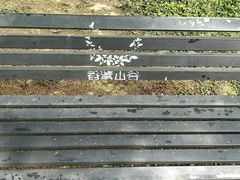 -紫颐香薰山谷景区