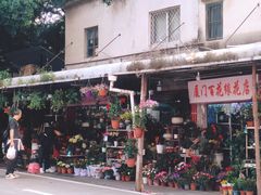 -溪岸路花鸟市场