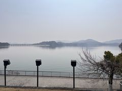-天乐农家鱼头王(天目湖店)