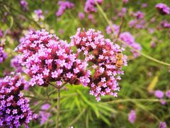-美味居(古城店)