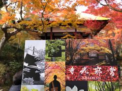 -常寂光寺