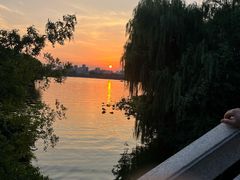 -济南大明湖景区