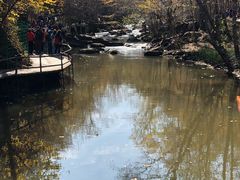 -茅兰沟国家森林公园