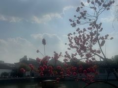 -水绘园