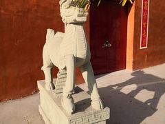 -东方巨龟苑景区