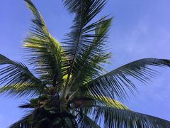 -班拉雅潜水度假村