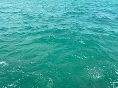 -亚龙湾海底世界