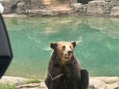 -杭州野生动物世界