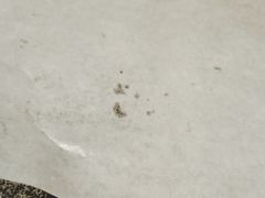 -管氏翅吧(护国寺店)