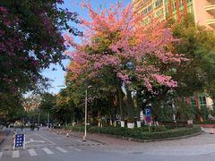 -广东金融学院(校本部)