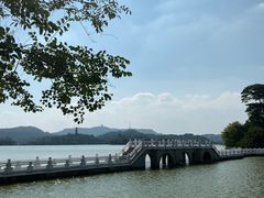 -黎记大排档(慈云路店)