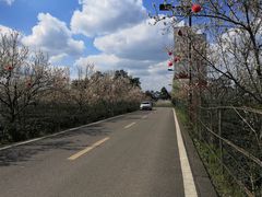-樱桃山旅游景区