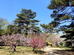 -北京植物园-展览温室