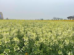 -中国天府农业博览园