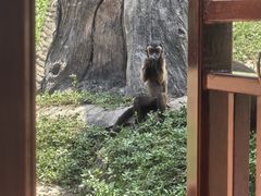 -上海野生动物园