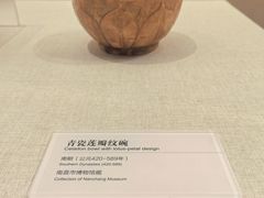 -秋霞圃