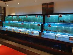 水产区-南海渔家•海鲜•正宗海南菜(海棠湾店)