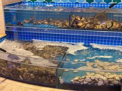 水产区-乔哥铭洋海鲜自助(皇城恒隆广场店)